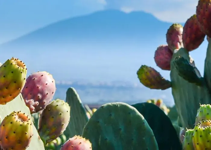 La Casa Di Alessandra *