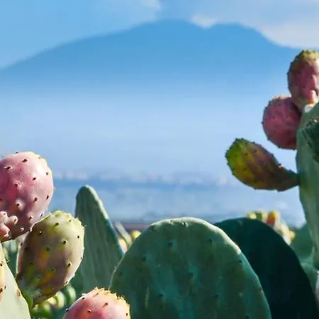 La Casa Di Alessandra *